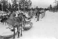 Советско-финская война