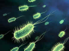 Микробы и микробиология