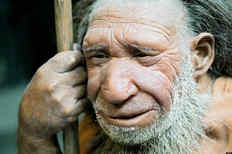 Неандерталец - тупиковая ветвь эволюции?