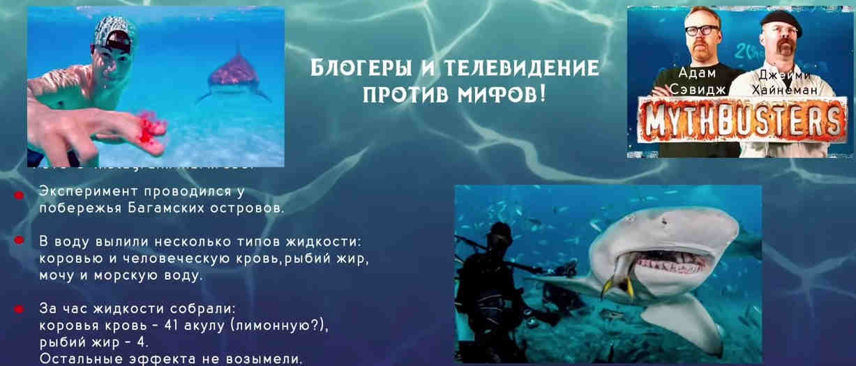 Разрушители мифов за работой Разрушители мифов за работой