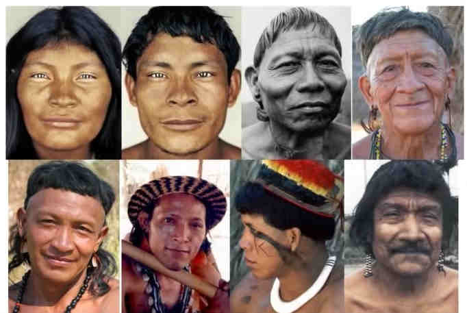 Амазонский тип Амазонский тип