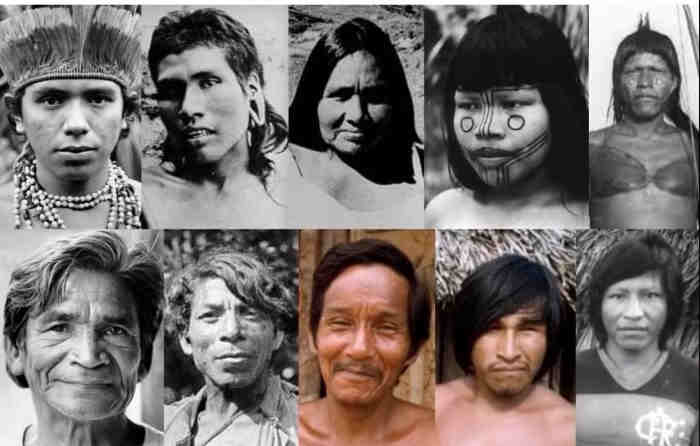 Лагиды Лагиды