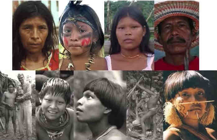 Лагиды - перихский вариант Лагиды - перихский вариант