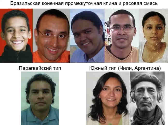 Бразильский, парагвайскиф и южный типы Бразильский, парагвайскиф и южный типы