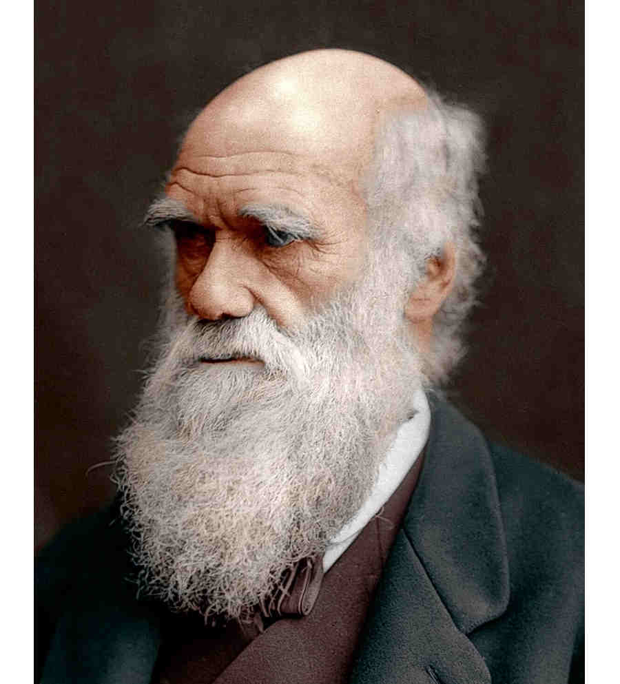 Чарльз Дарвин