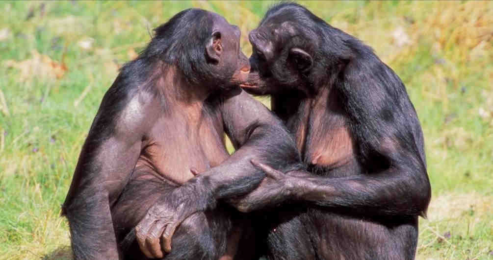 Как проявляется любовь?