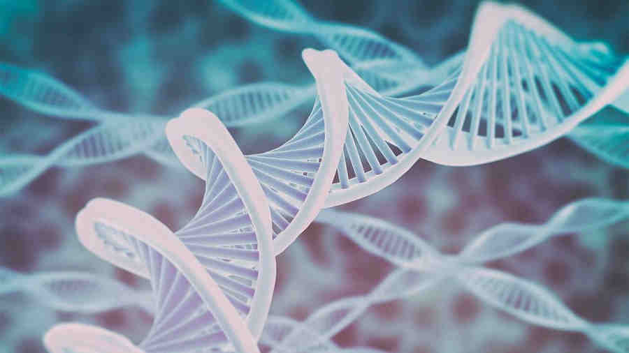 Всё дело в плохих генах... Всё дело в плохих генах...