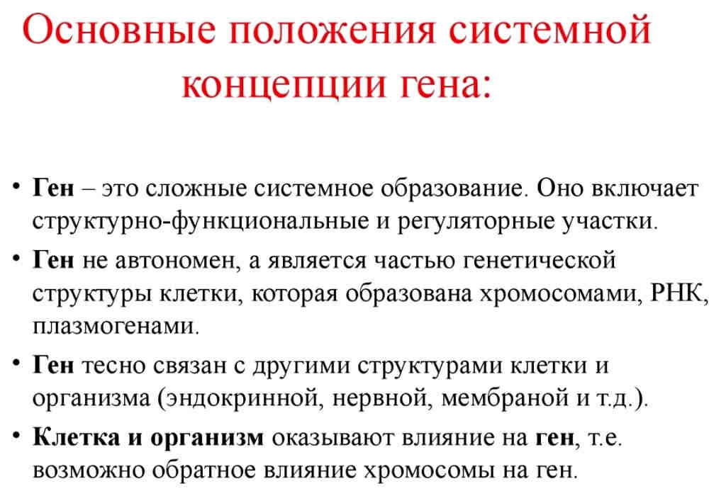 Что такое ген