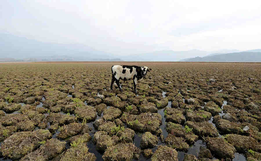 В связи с потеплением изменится ВСЁ