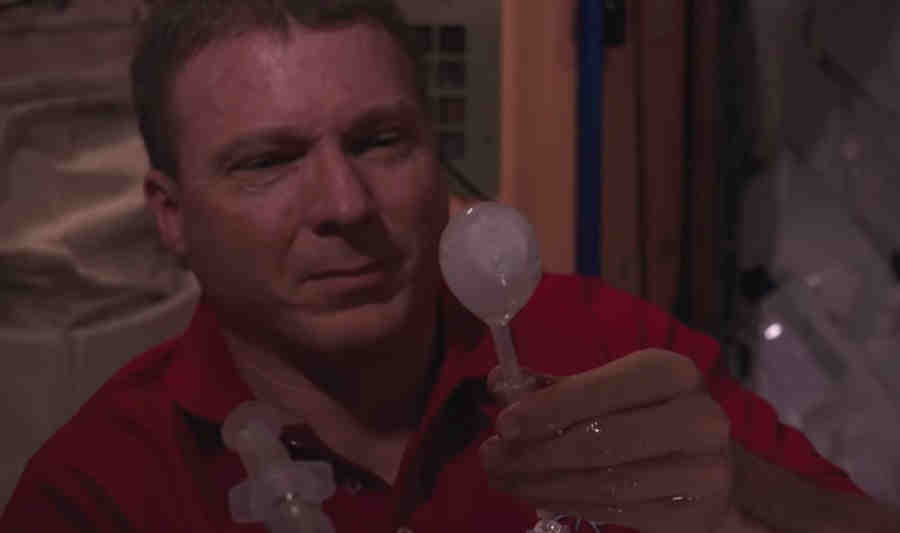 Красные, опухшие лица, словно из запоя не выходят