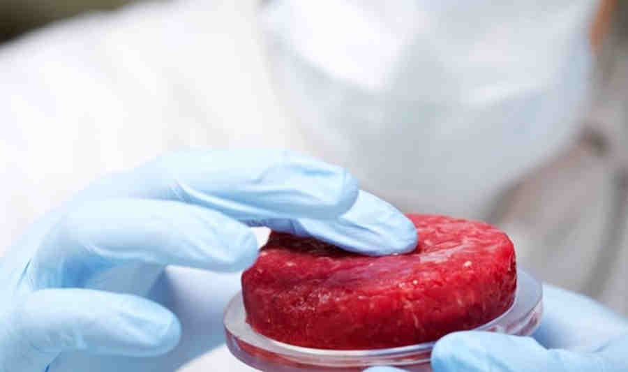 Уже сейчас есть культивируемое мясо, которые выращивают в лабораторных условиях из стволовых клеток