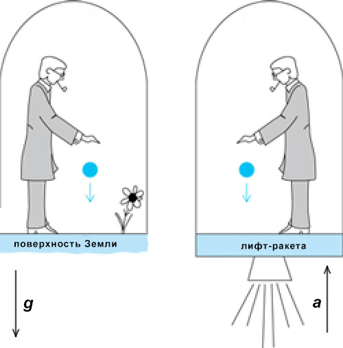 Лифт Энштейна Лифт Энштейна