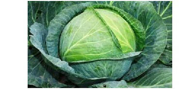 Сад и Огород