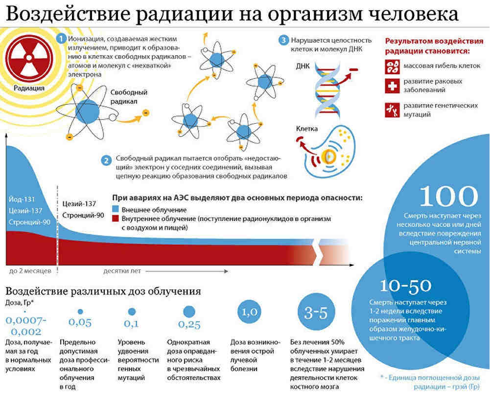Воздействие радиации на организм человека Воздействие радиации на организм человека