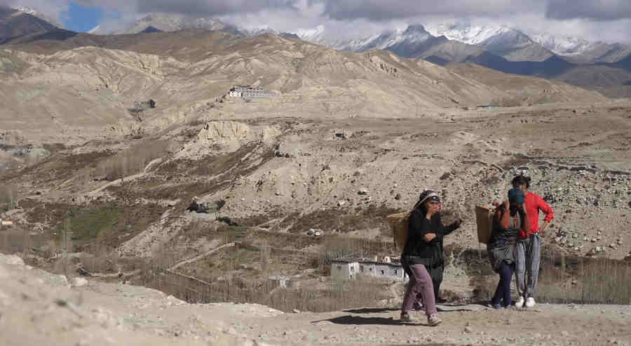 Пустынный облик Мустанга