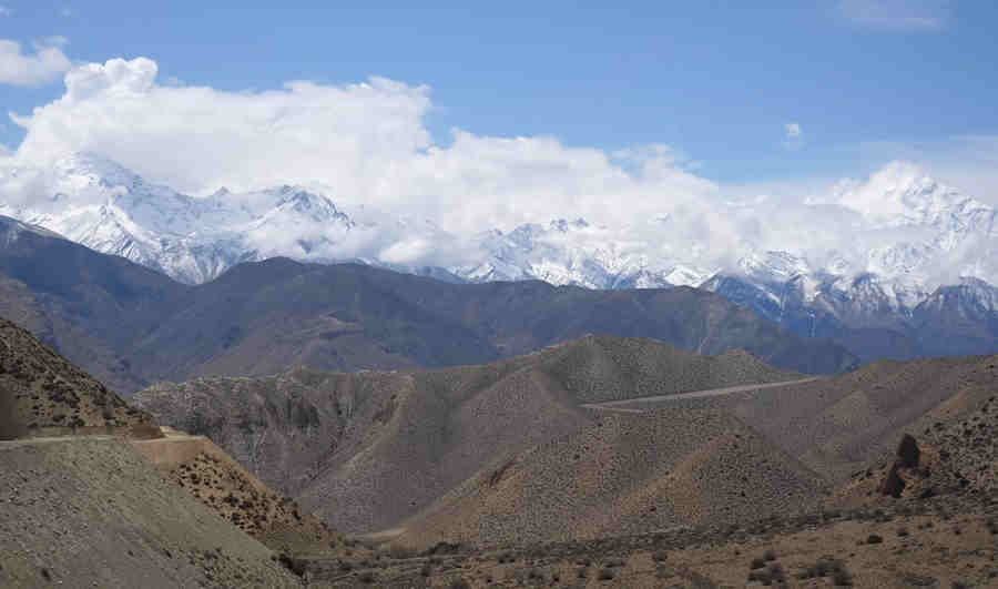 Виды королевства Мустанг