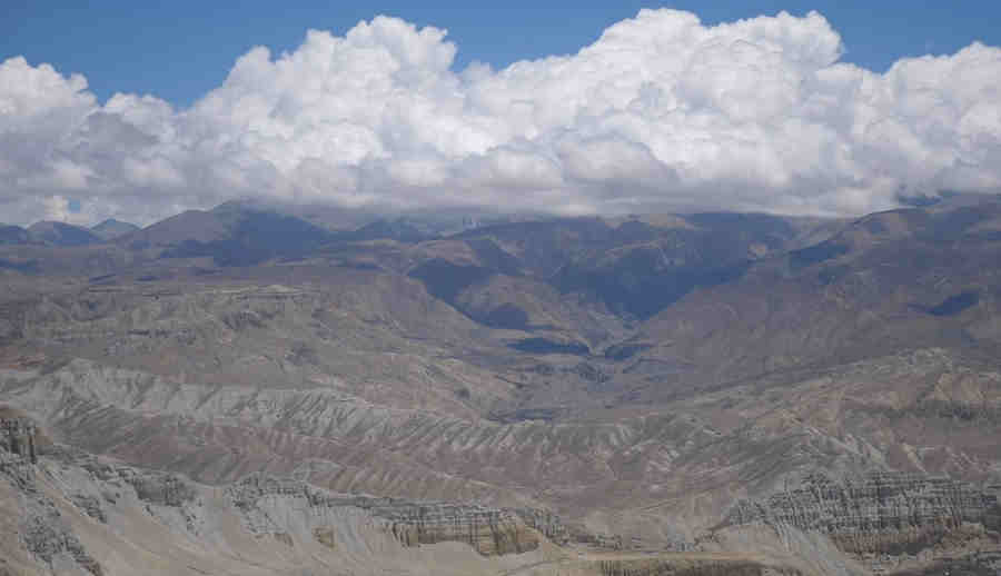 Виды королевства Мустанг