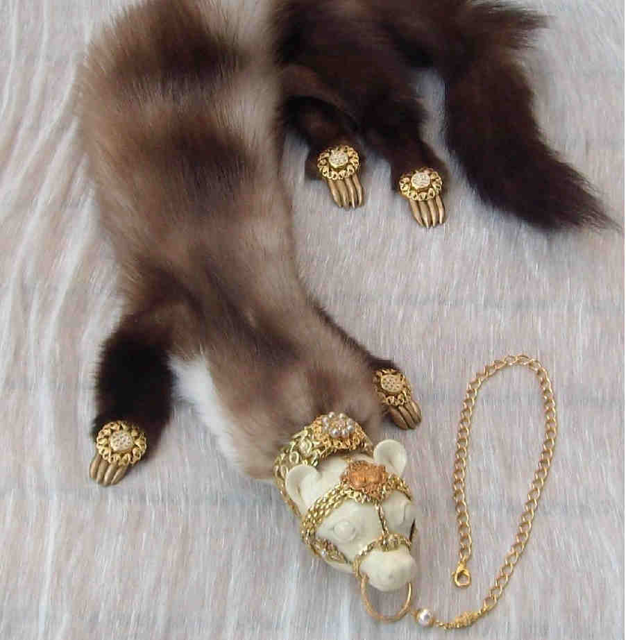 Типичная блохоловка. Типа Типичная блохоловка. Типа