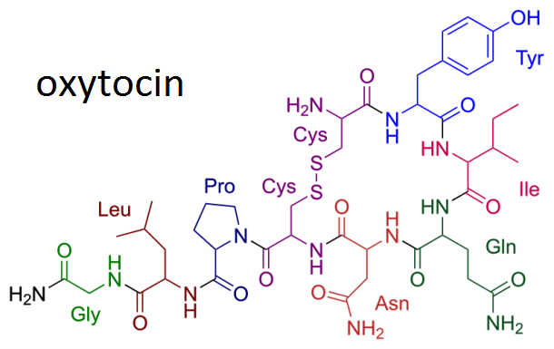 Oksitocin i seks