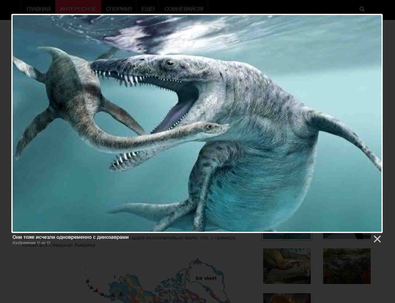 Страницы сайта maple4.ru Страницы сайта maple4.ru