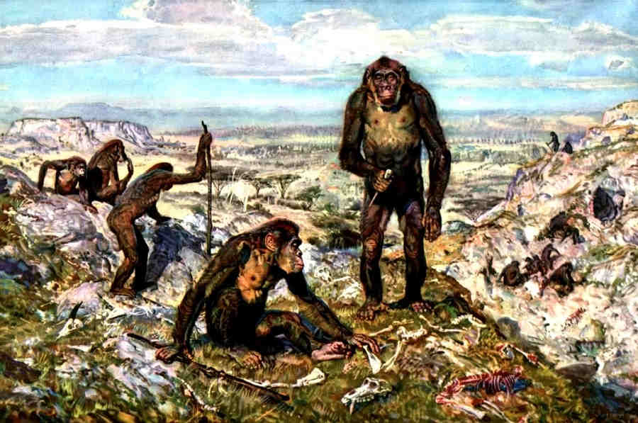 Австралопитеки Австралопитеки