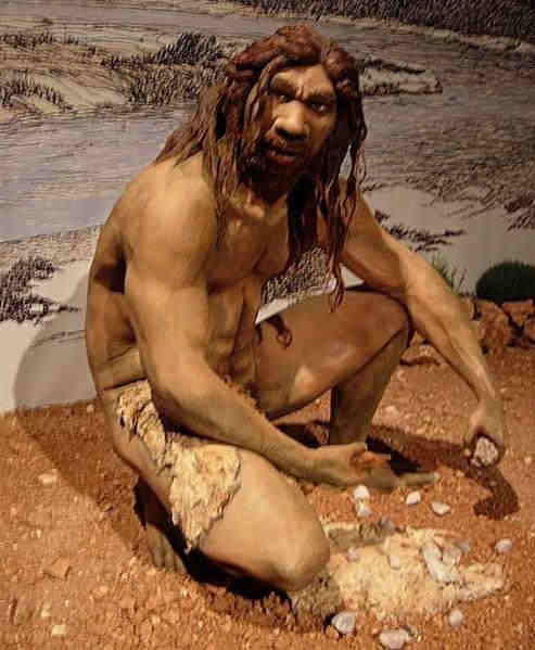 Гейдельбергский человек Гейдельбергский человек