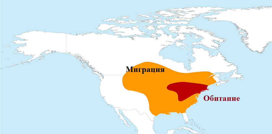 Места обитания и миграции странствующего голубя