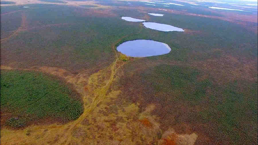 Васюганские болота Васюганские болота