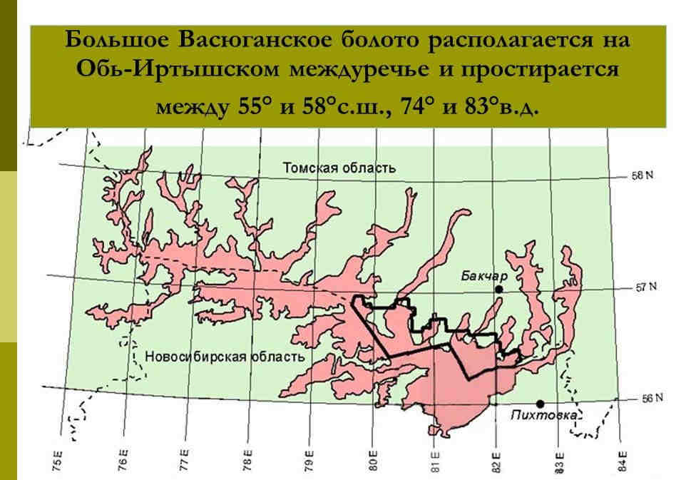 Васюганские болота Васюганские болота