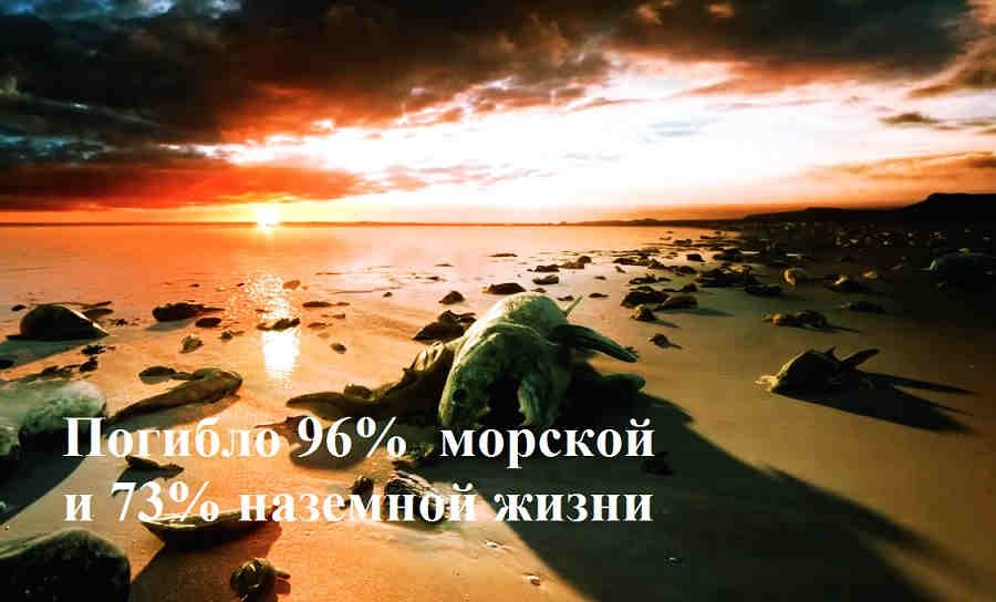 абсолютно обо всем история динозавров земли цивилизаций