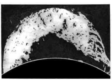 Исполинский протуберанец 1956 года.
