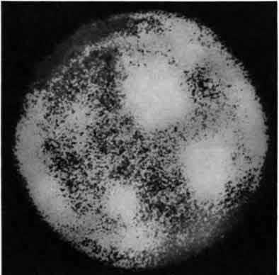 Хромосферная вспышка.