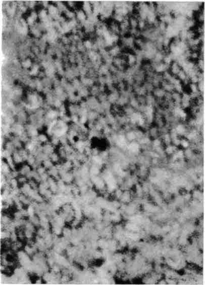 Грануляция фотосферы.