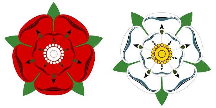 Алая и Белая розы