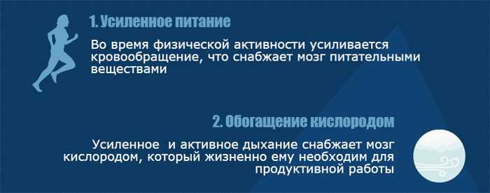 спорт и мозг