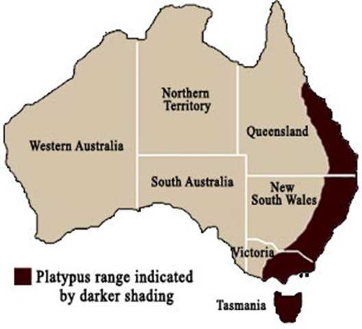Ареал обитания утконосов