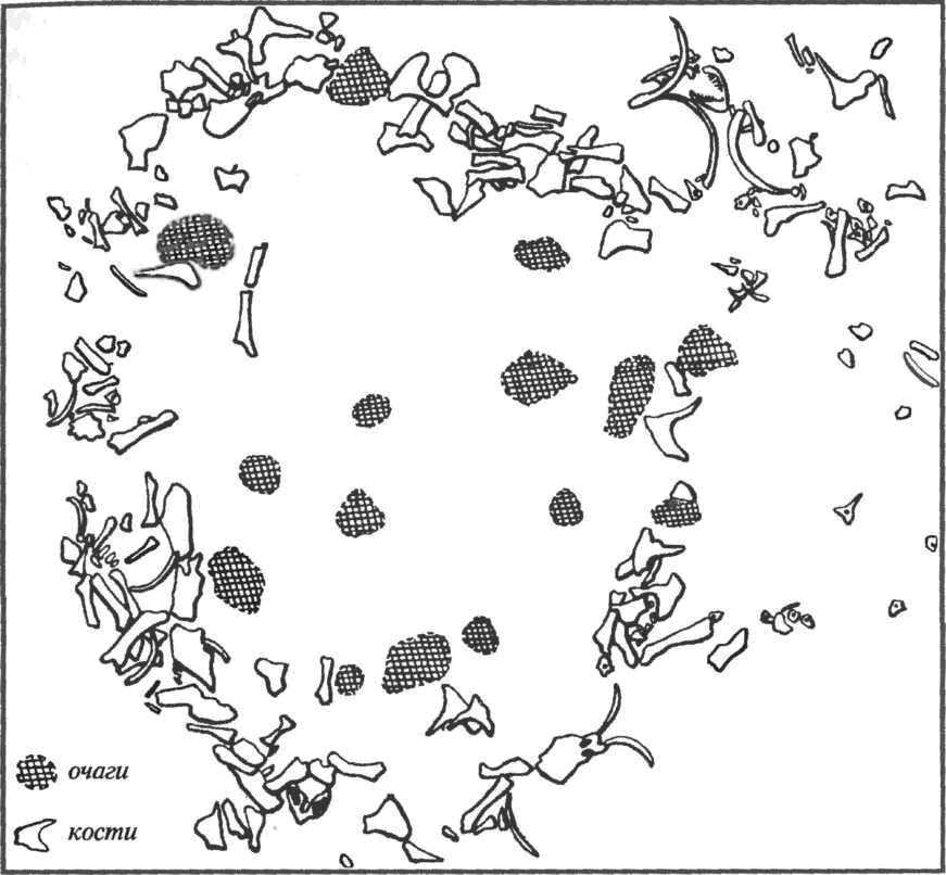 План жилища на мустьерской стоянке Молодово I
