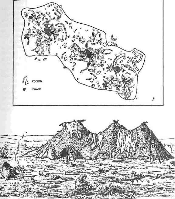 План и реконструкция верхнепалеолитического жилища с тремя очагами на стоянке Пушкари I