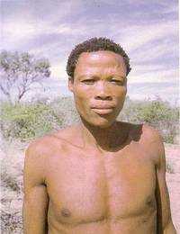 Бушмен группы кунг