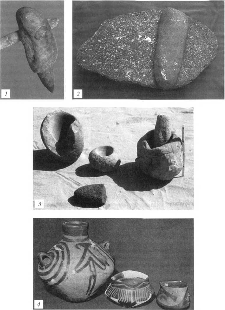 Орудия и утварь эпохи неолита Орудия и утварь эпохи неолита