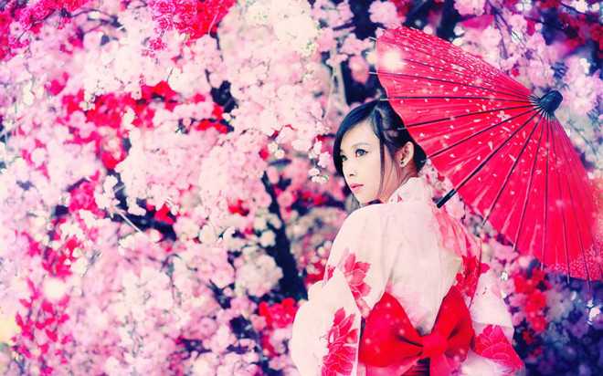 Гейша Гейша