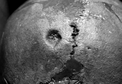 Позже еще одна сенсационная находка была сделана уже всамой Франции