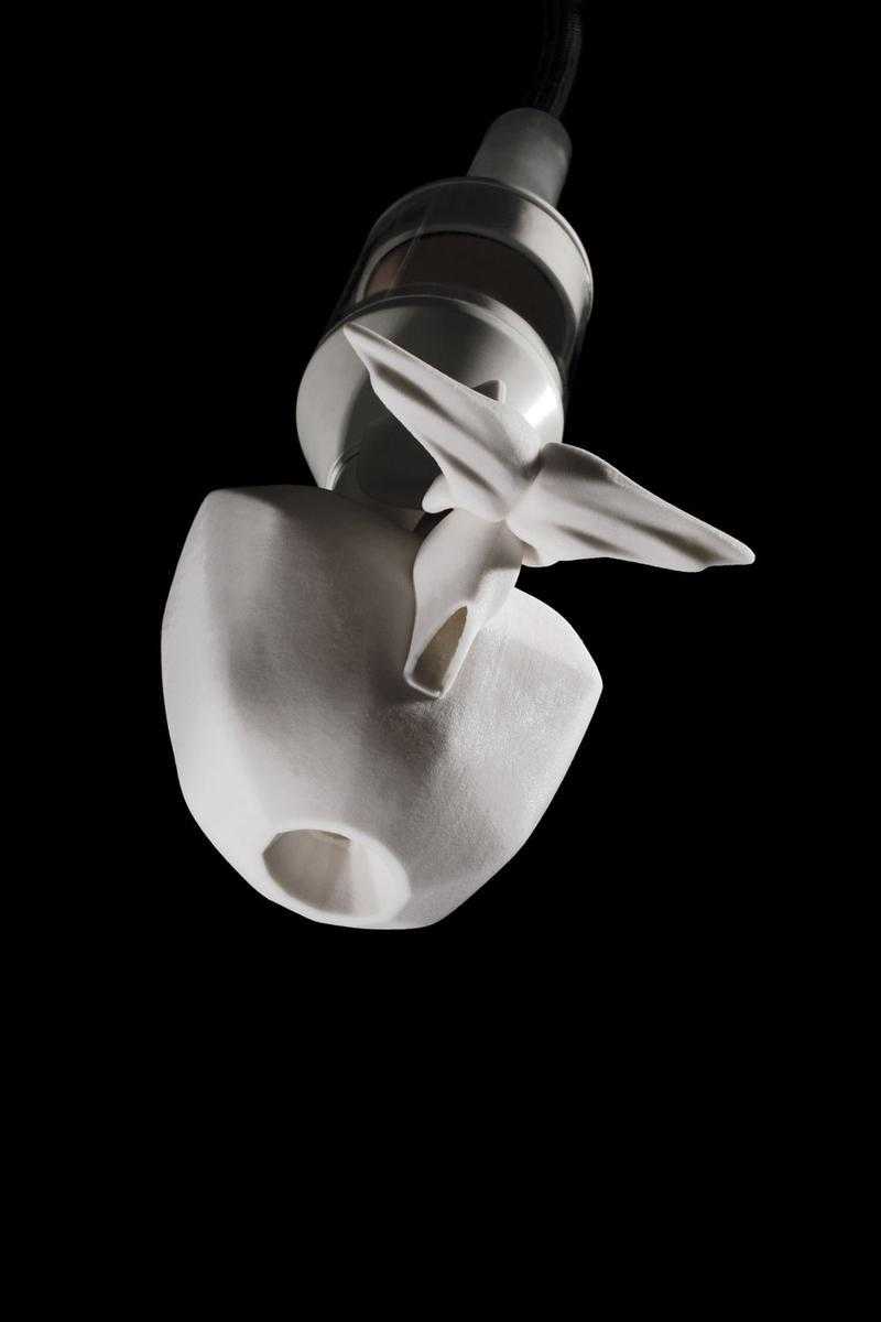 Симфония криков