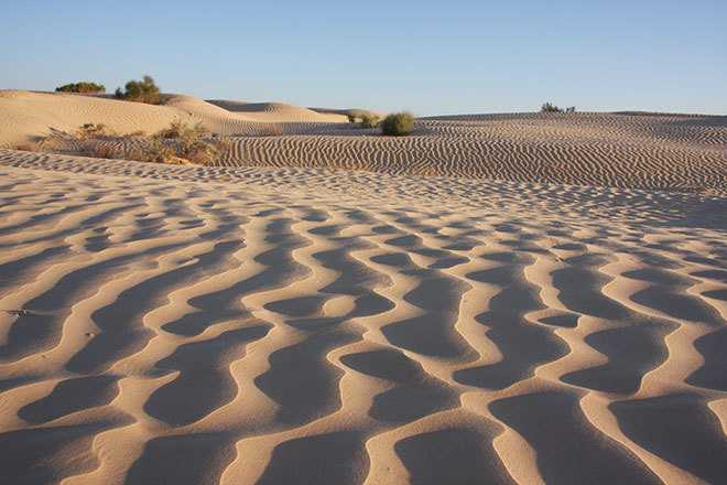 Пустыня Сахара