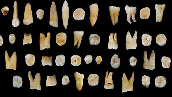 Зубы кроманьонцев, найденные в пещере Фунянь