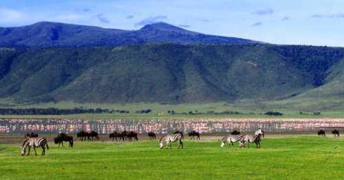 Кратер Нгоронгоро Кратер Нгоронгоро